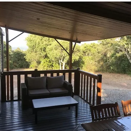 Cosy 아파트 *